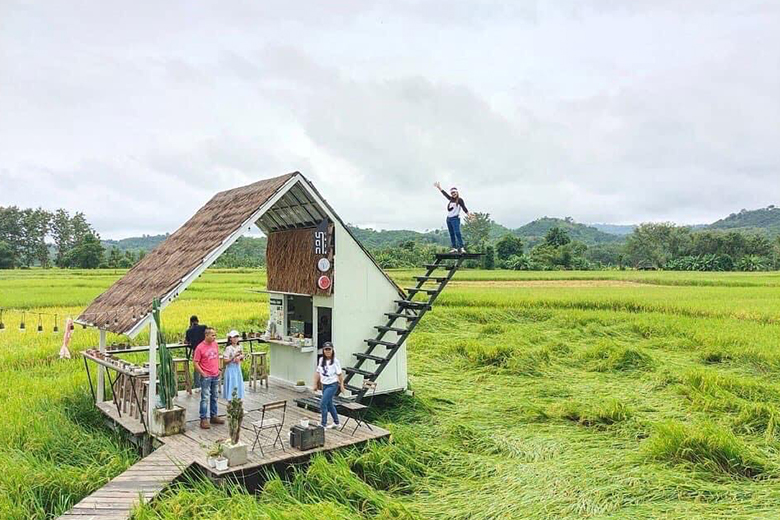 เที่ยวน่าน ทัวร์น่าน เที่ยวหน้าหนาว