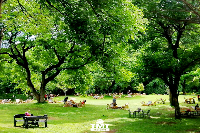 ทัวร์ไทย ทัวร์ในประเทศ ที่เที่ยว กาญจนบุรี Mulberry Mellow  คาเฟ่เปิดใหม่ มัลเบอร์รี่ เมลโล่ ที่เที่ยวในไทย ร้านค่าเฟ่ ร้านอาหาร